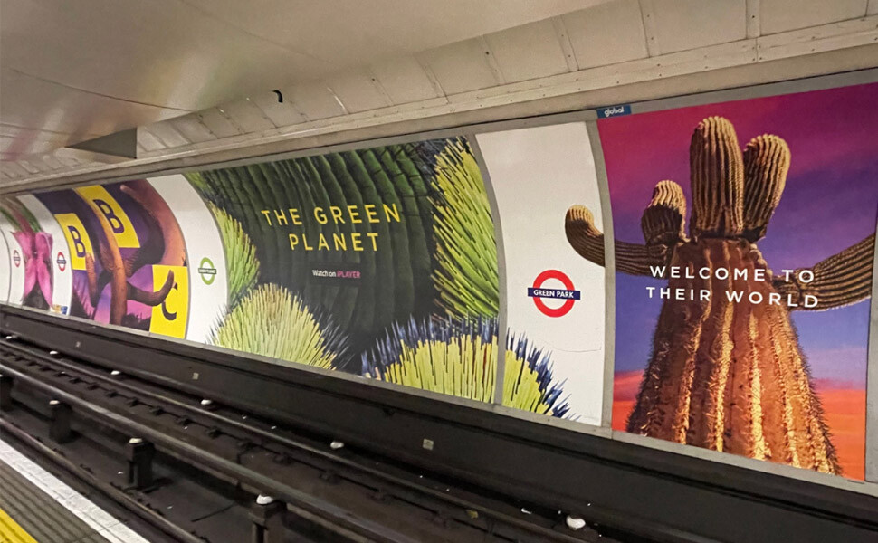 BBC Green Planet Underground Branding