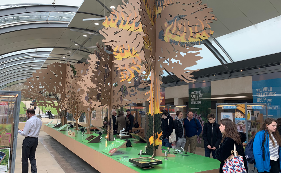 Kew Gardens' Cardboard Engineering