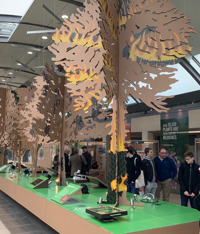 Cardboard Engineering