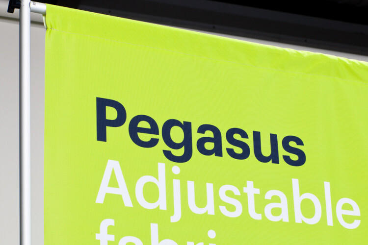 Pegasus front top closeup