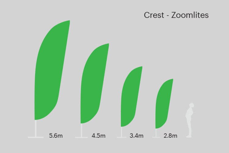 Zoom Lite crest sizes